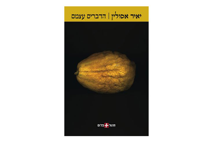 הדברים עצמם - כריכת הספר