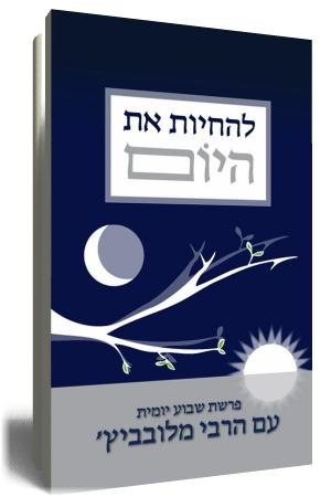 להחיות את היום - כריכה