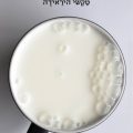 חתולה אורחת