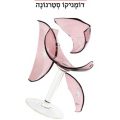 כריכת הספר שרוכים